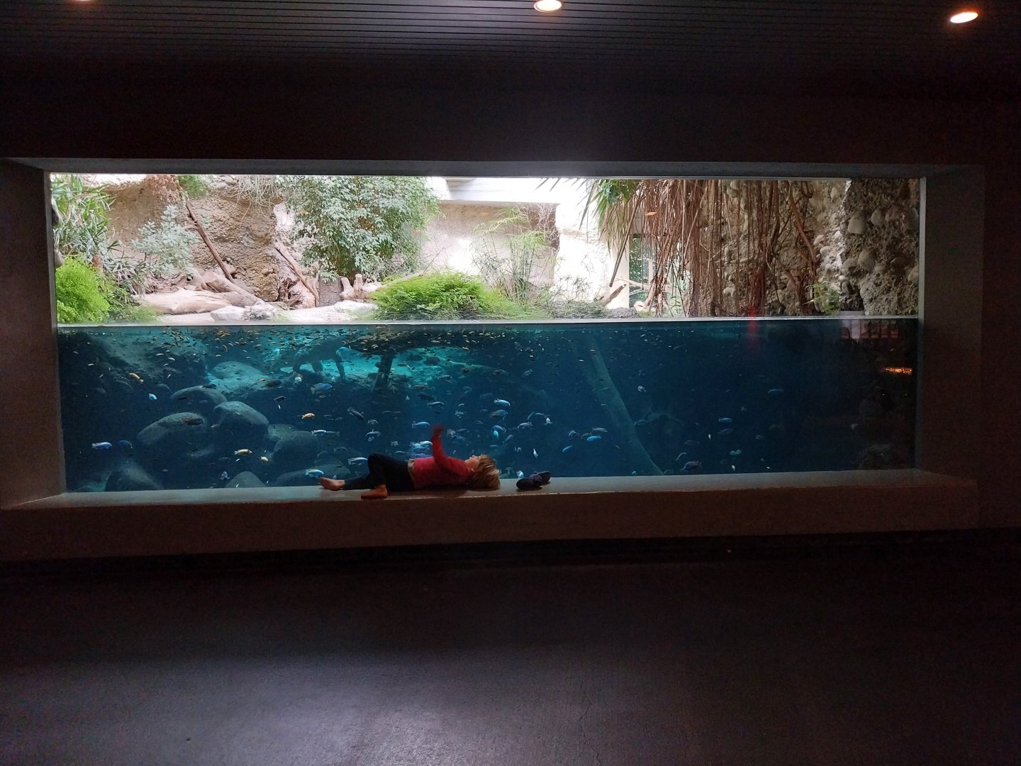 Gamgaos house - African river landscape exhibit