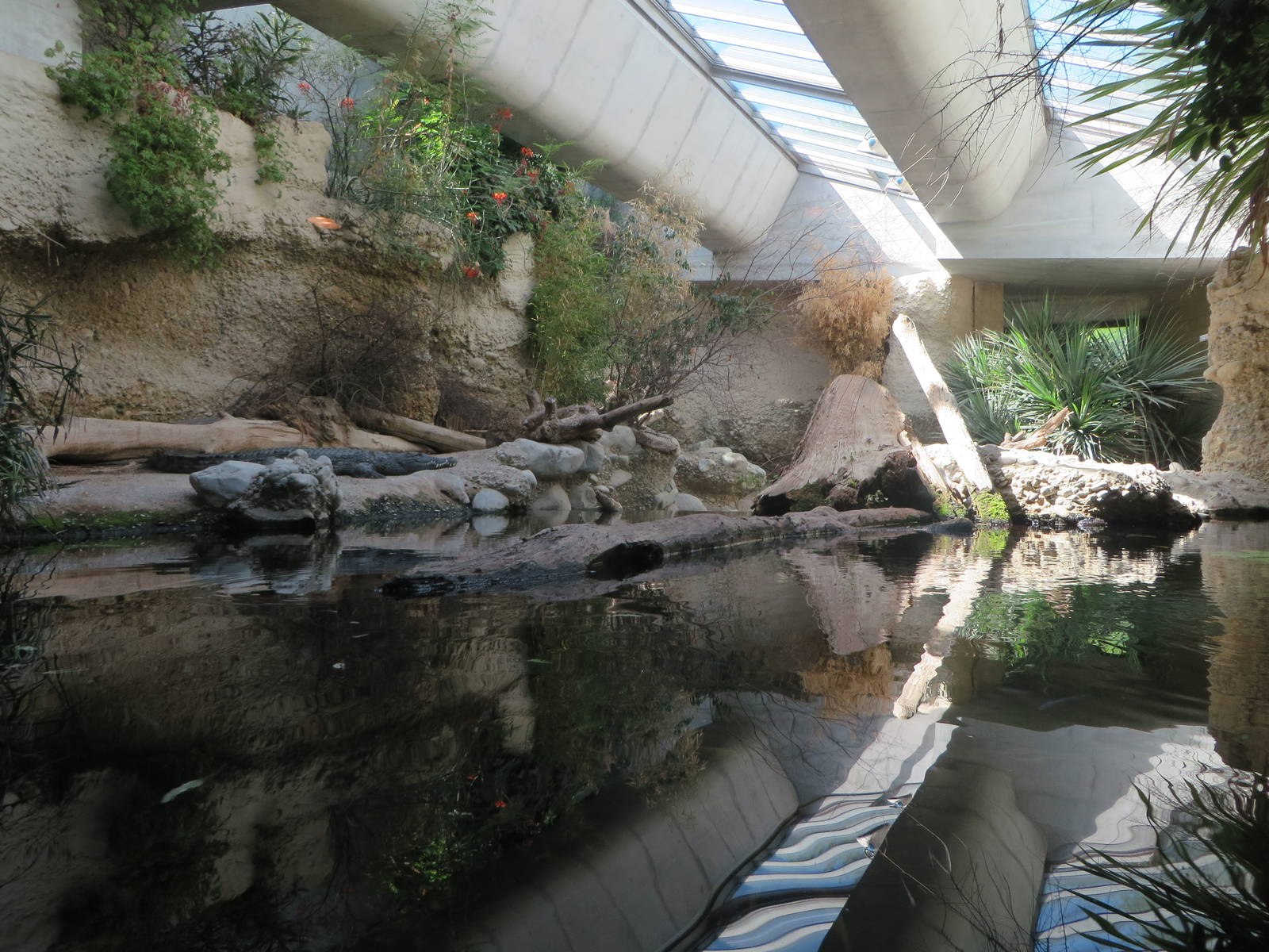 Gamgoas -crocodile enclosure