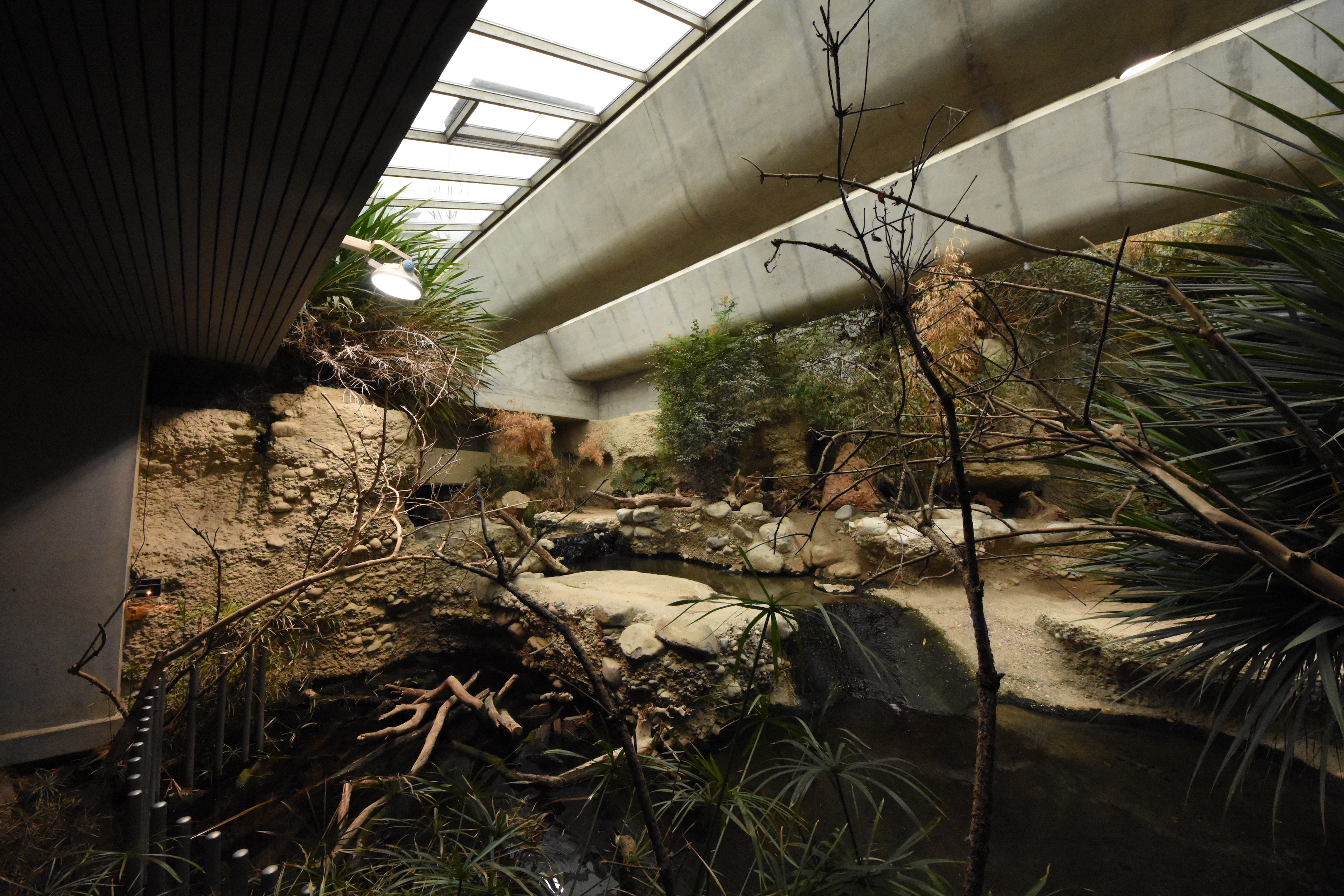 Gamgoas Crocodile enclosure
