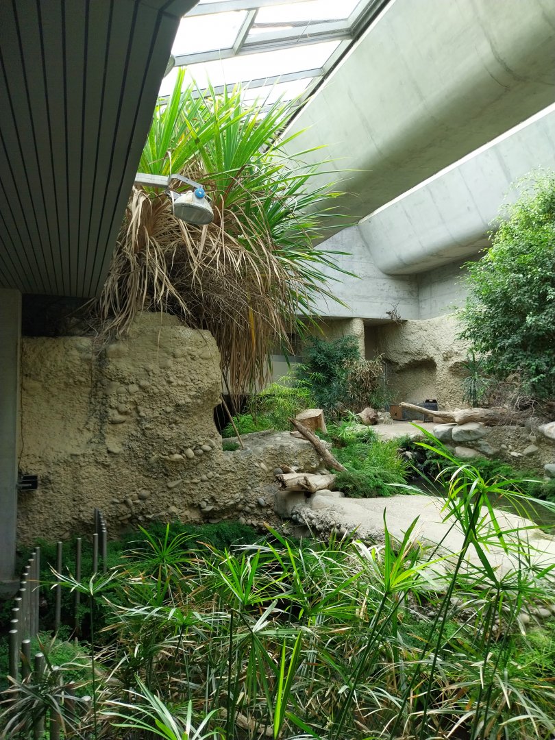 Gamgoas house - African river landscape exhibit