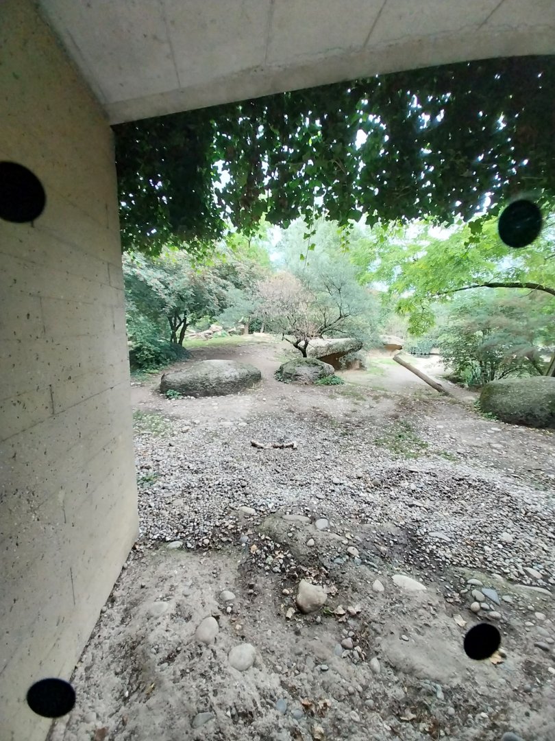 Gamgoas house - Lion enclosure