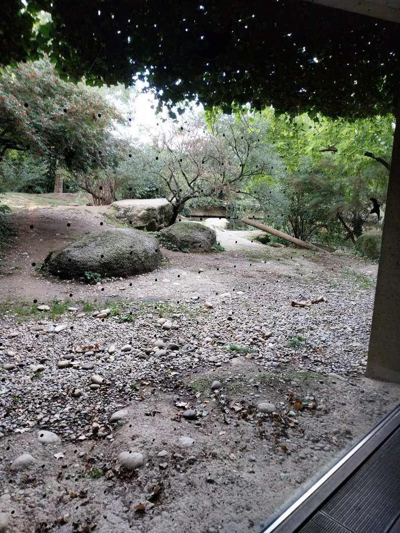 Gamgoas house - Lion enclosure