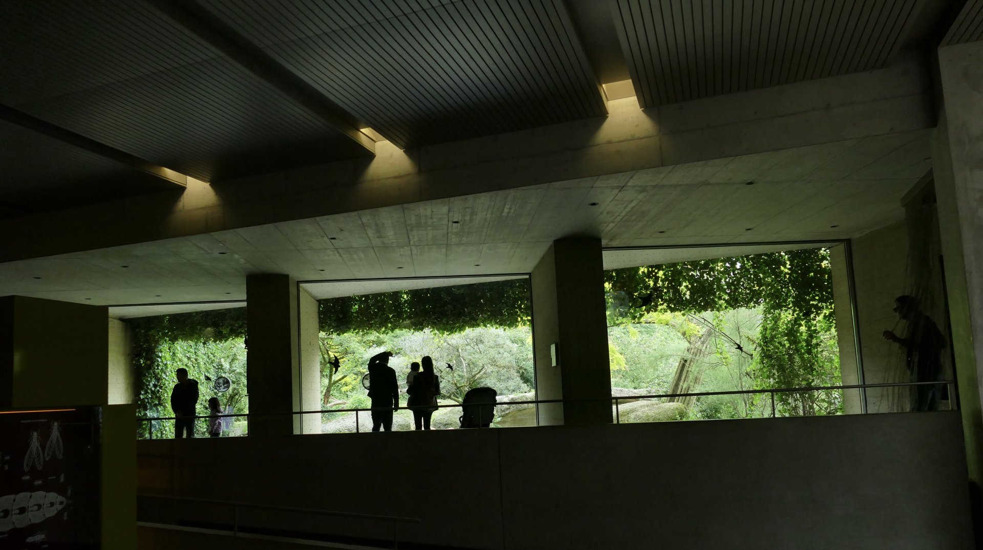 Gamgoas House- Lion Viewing Gallery