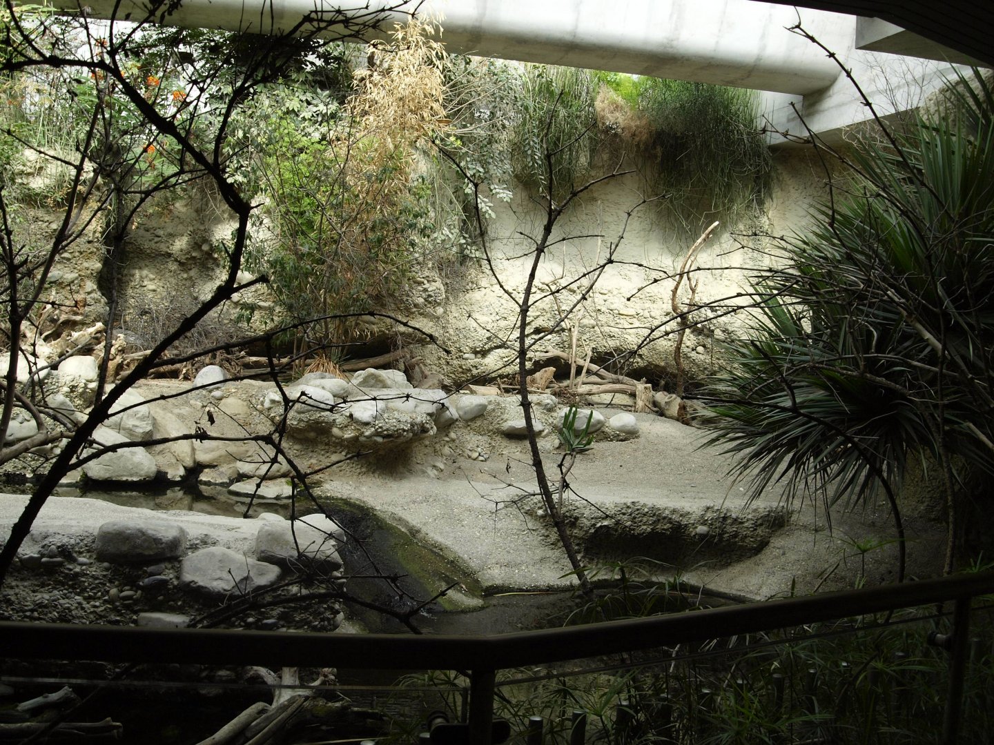 Gamgoas house - Nile crocodile exhibit