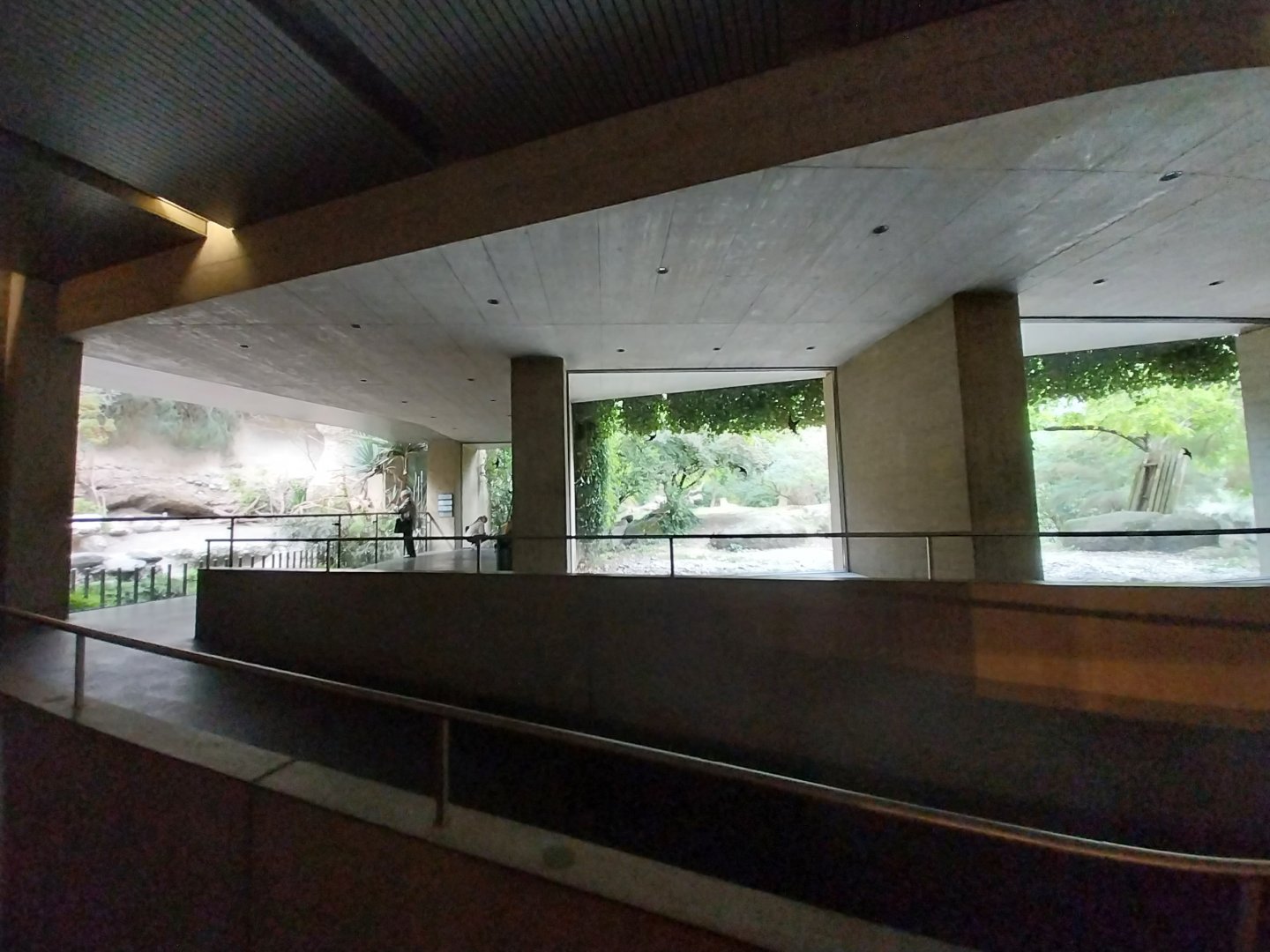 Gamgoas house - Panoramic windows in the lion enclosure