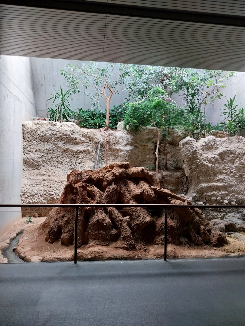Gamgoas house - Termite mound exhibit