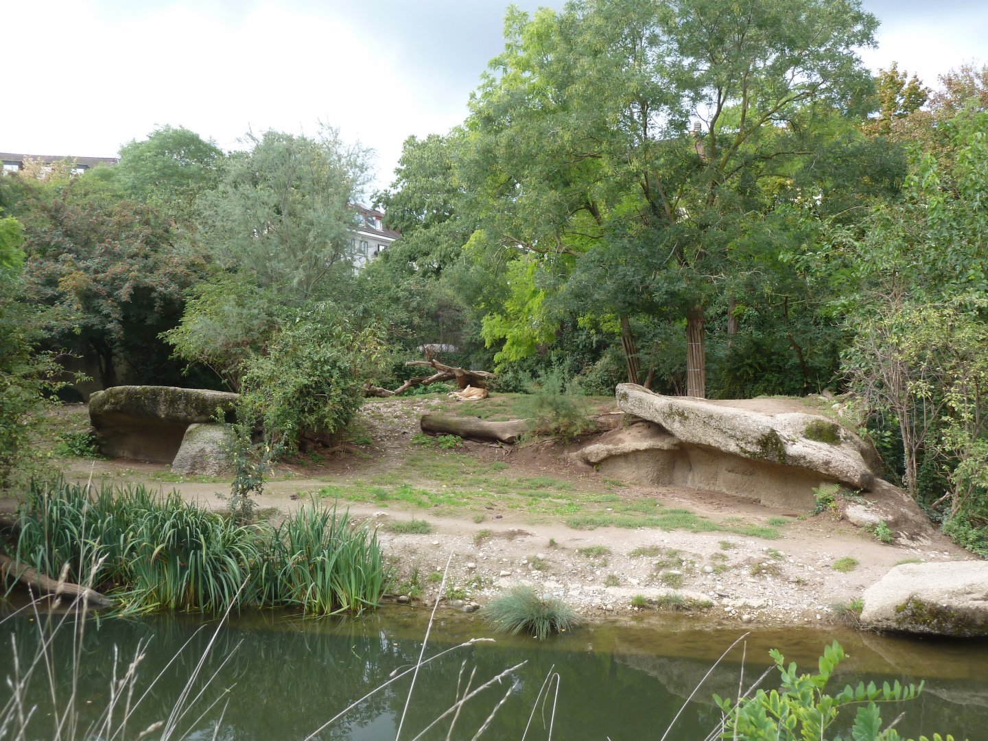 Gamgoas - Lion enclosure