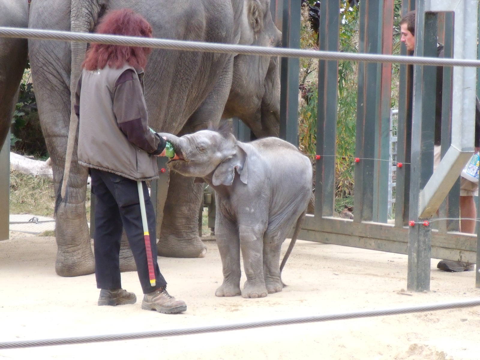 Ganesh Vijay 27 Sept 2009
