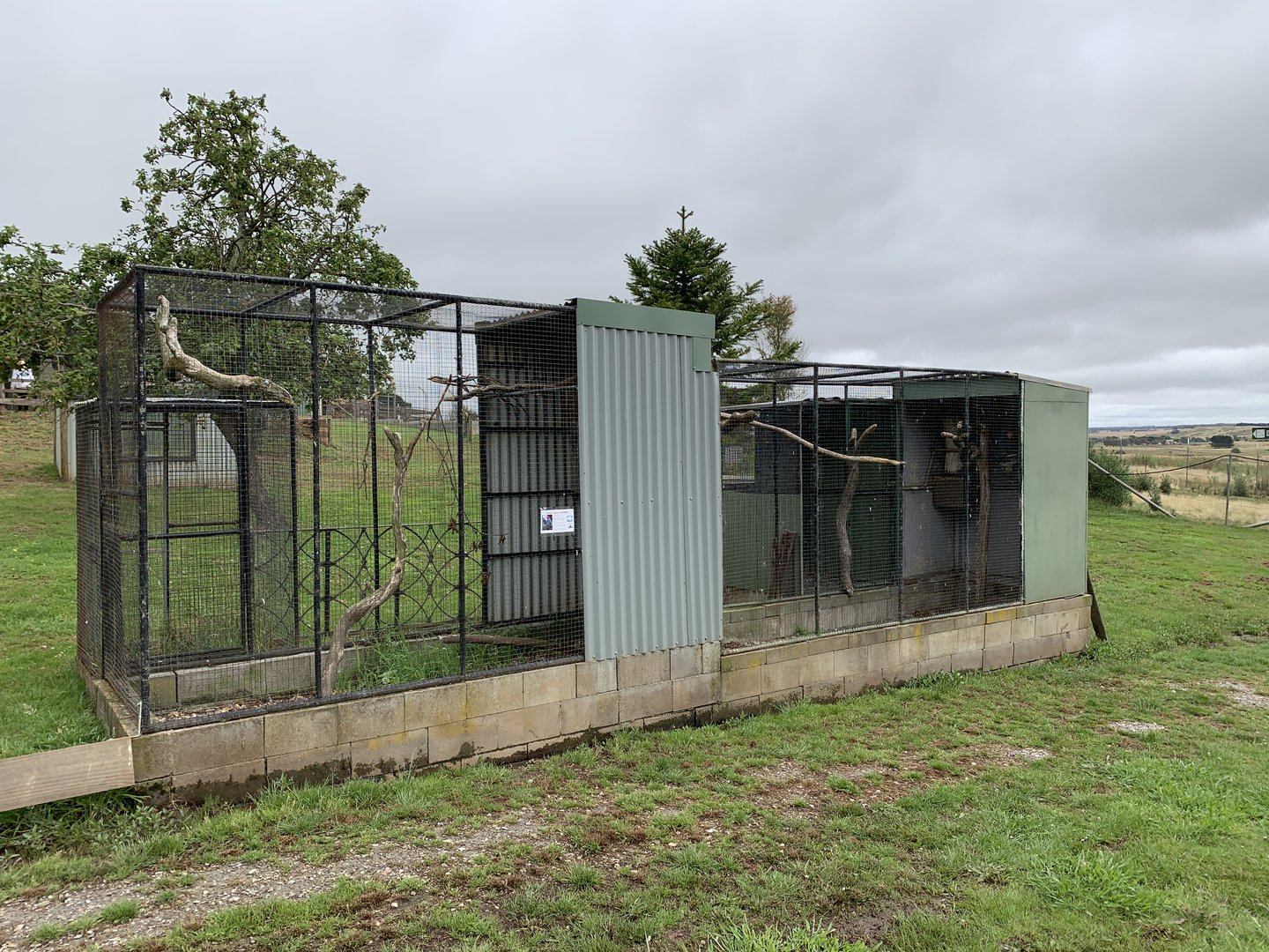 Gang-gang Cockatoo Aviaries
