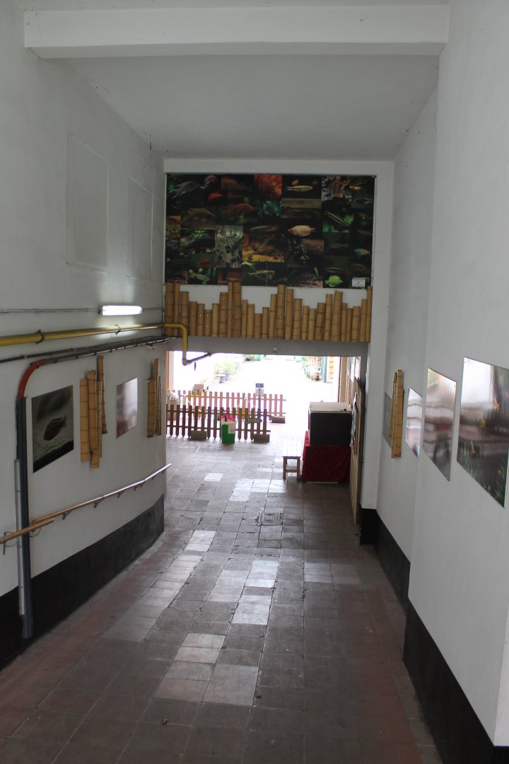 Gang-way toward entrance