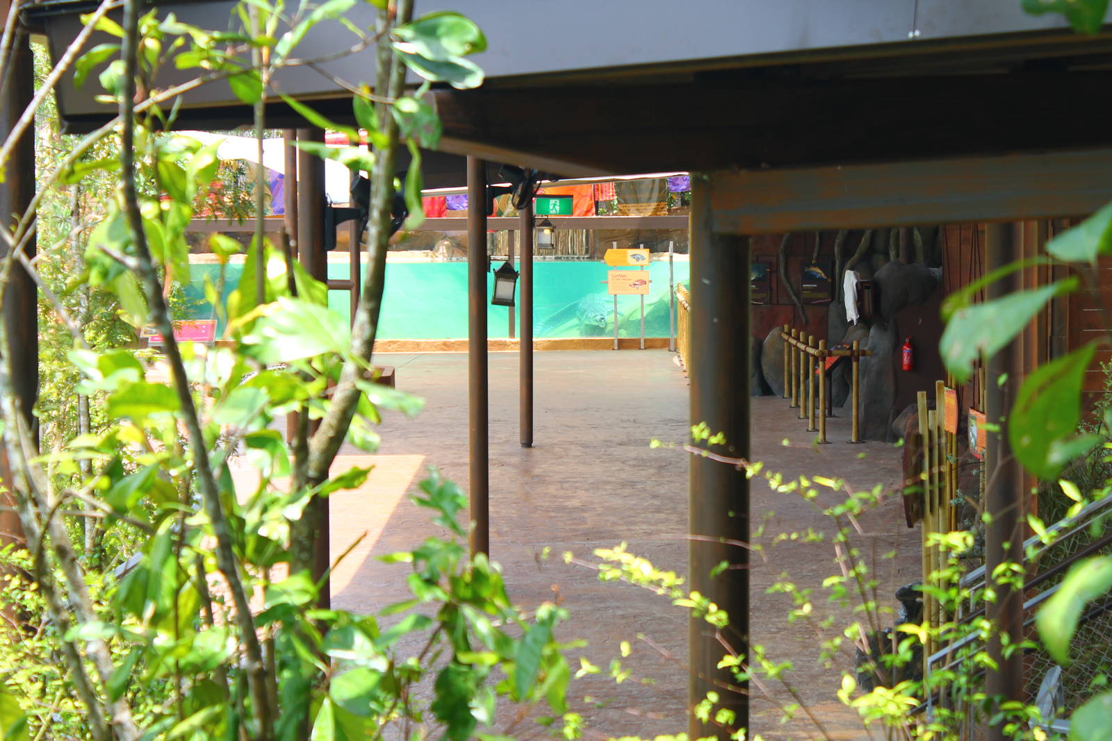 Ganges River - Indian Gharial exhibit