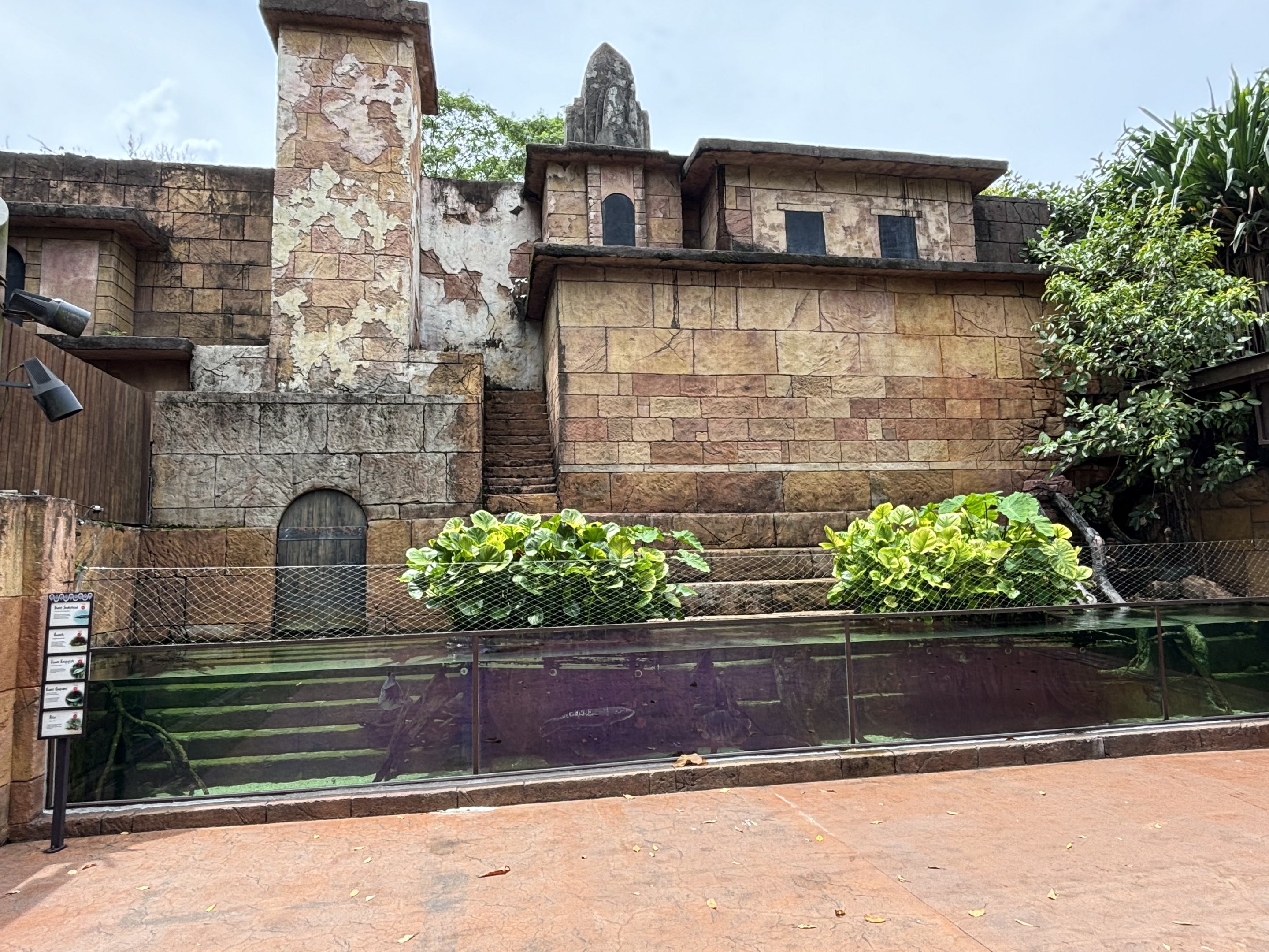 Ganges River Tank (5 species)