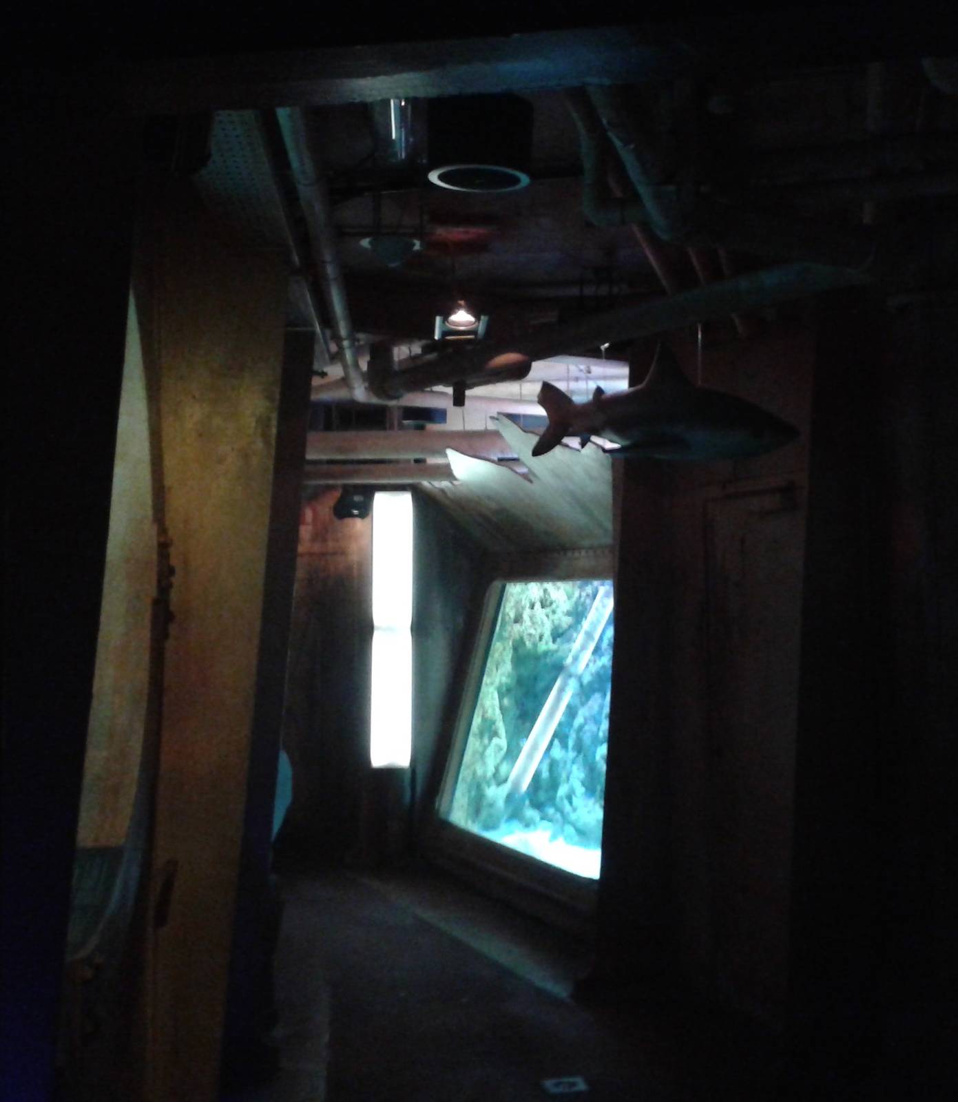 Gangway to the shark tunnel