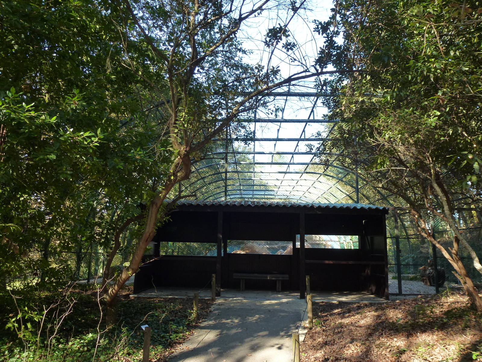 Gannet aviary, November 2013.