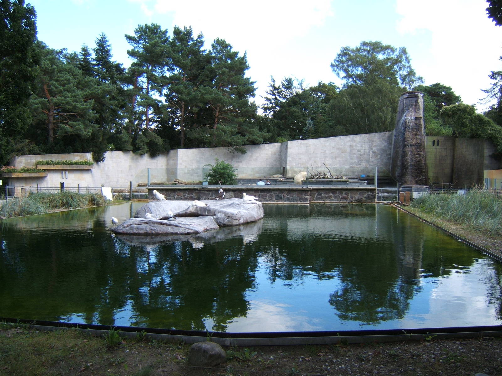 Gannet enclosure with Polar Bear enclosure in background