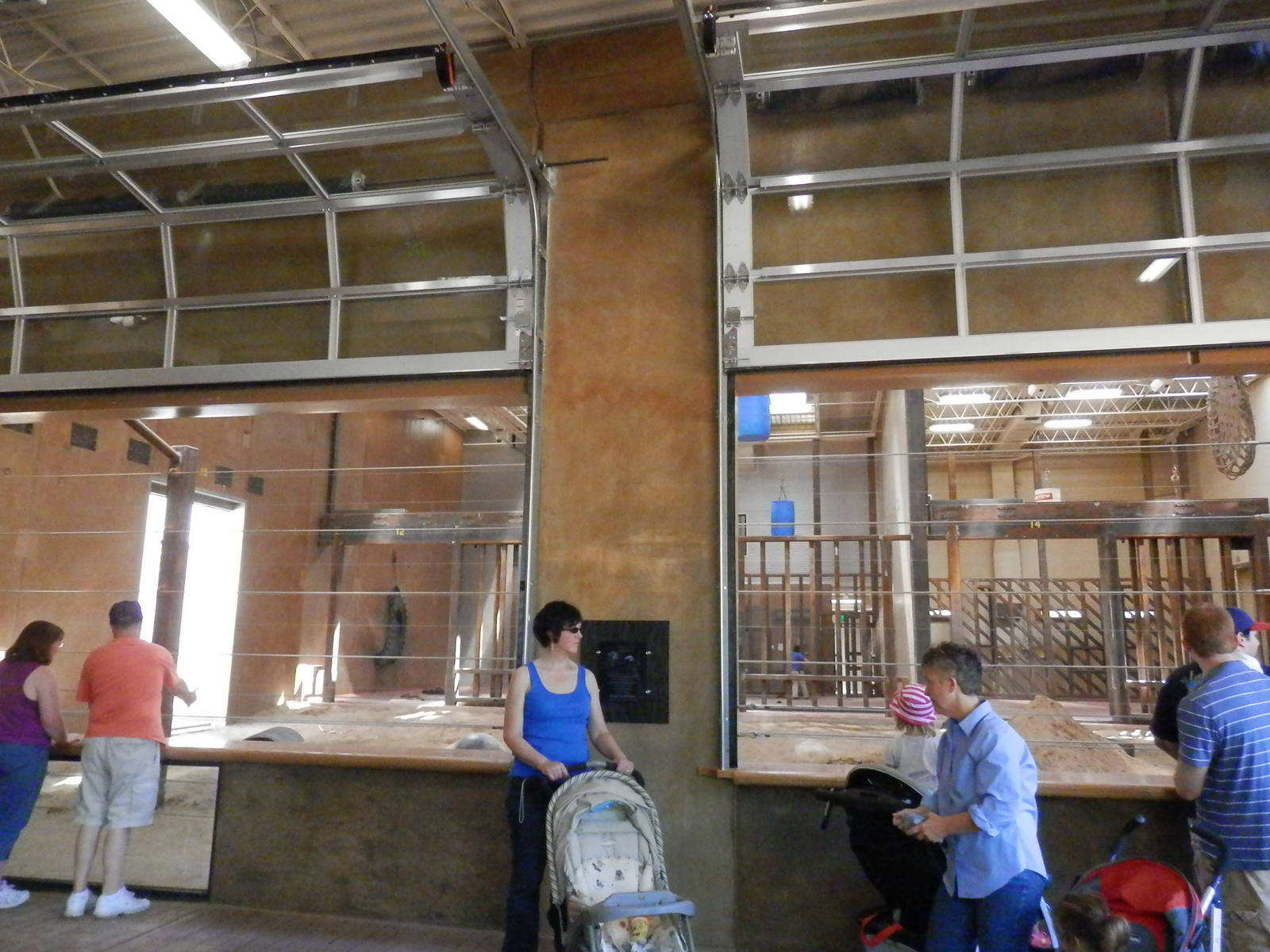 "garage doors" for bad weather