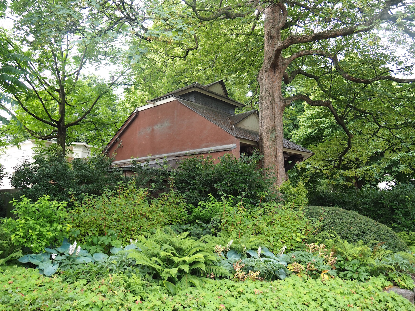 Garden area and backside of the North American porcupine exhibit, 2022-07-10