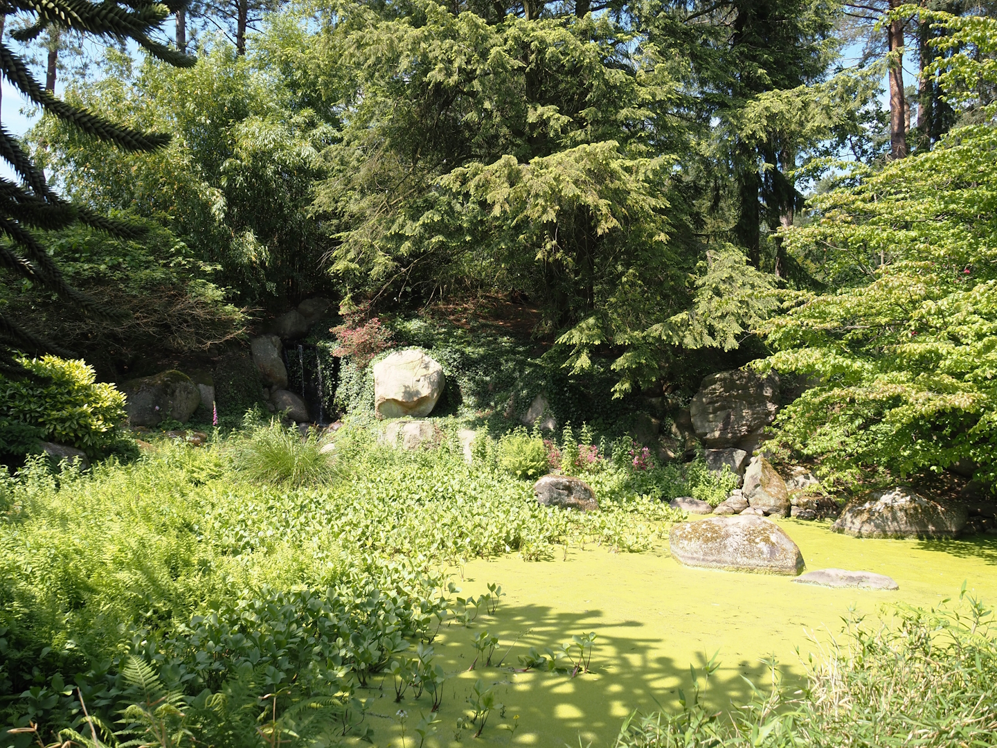 Garden area near the Paradies-Halle, 2024-05-21