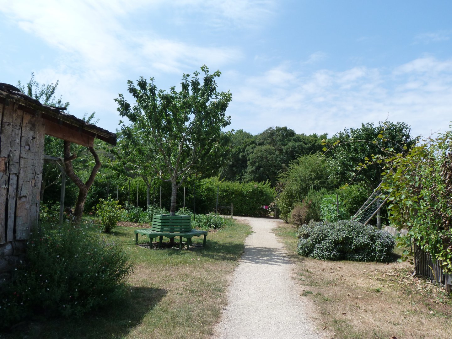 Garden area -Zoodyssée (2025)