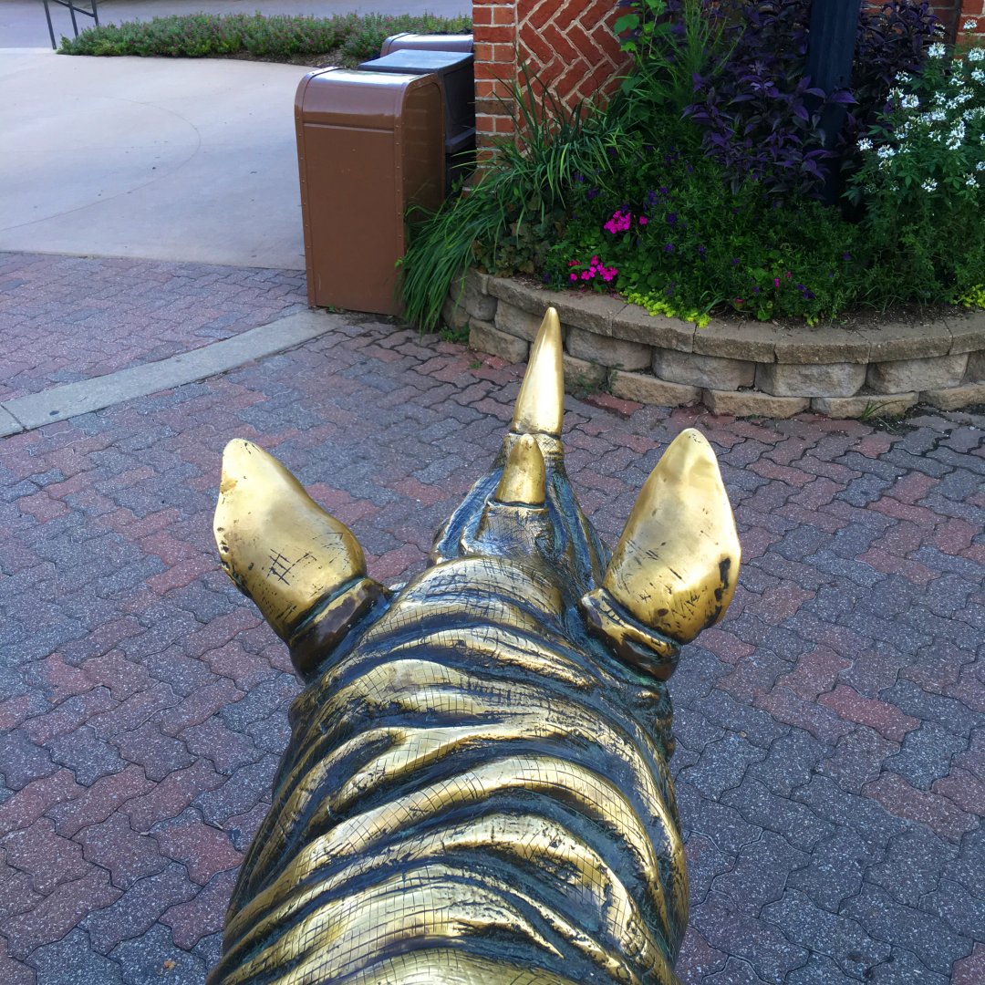 Garden Of Senses Rhino Statue POV