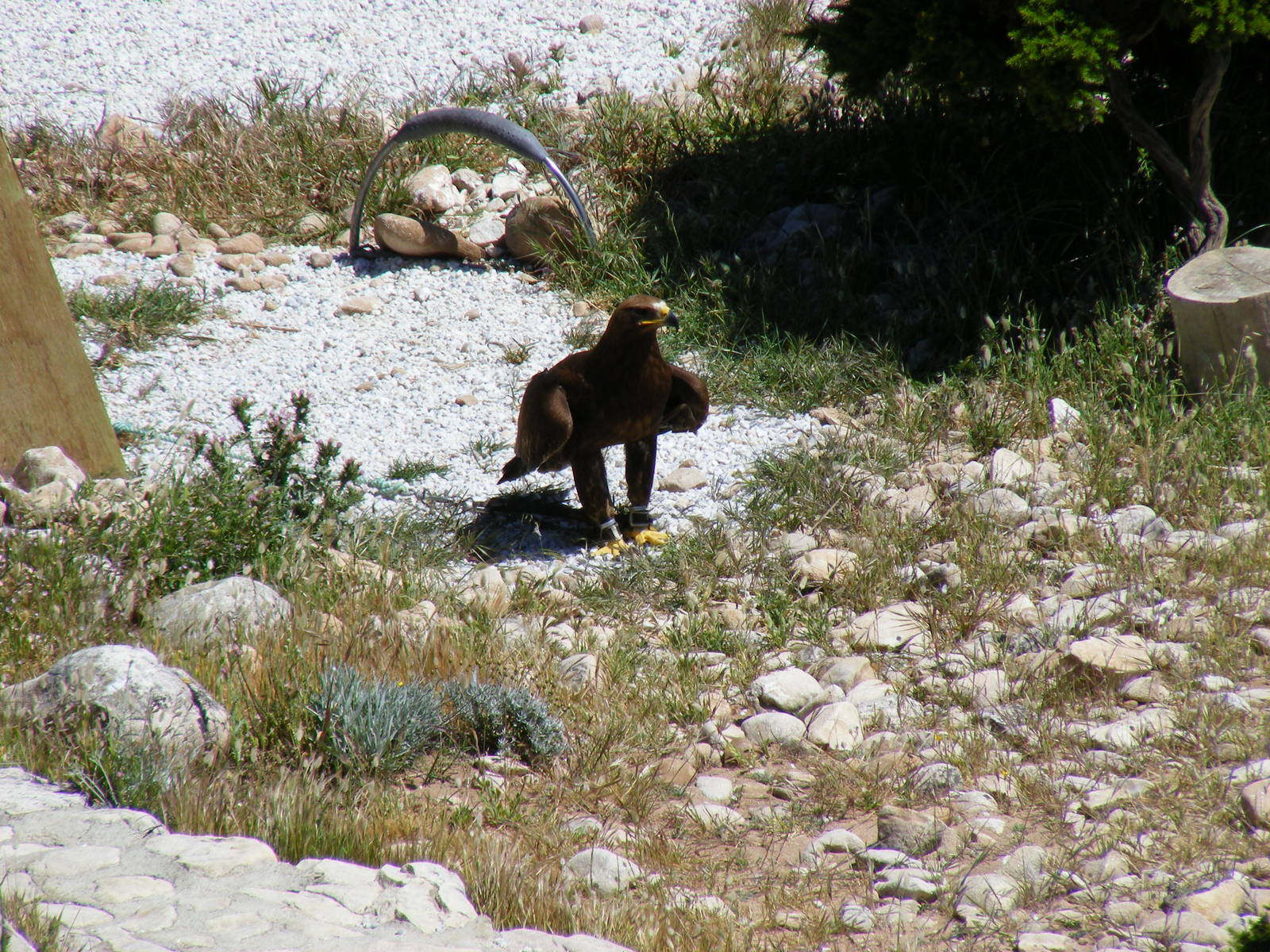 Garden of the Eagles in Benalmadena, 2 May 2009