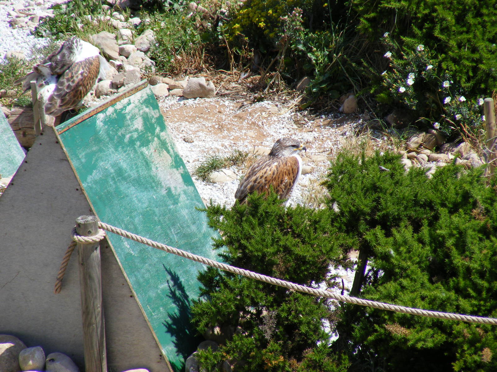Garden of the Eagles in Benalmadena, 2 May 2009