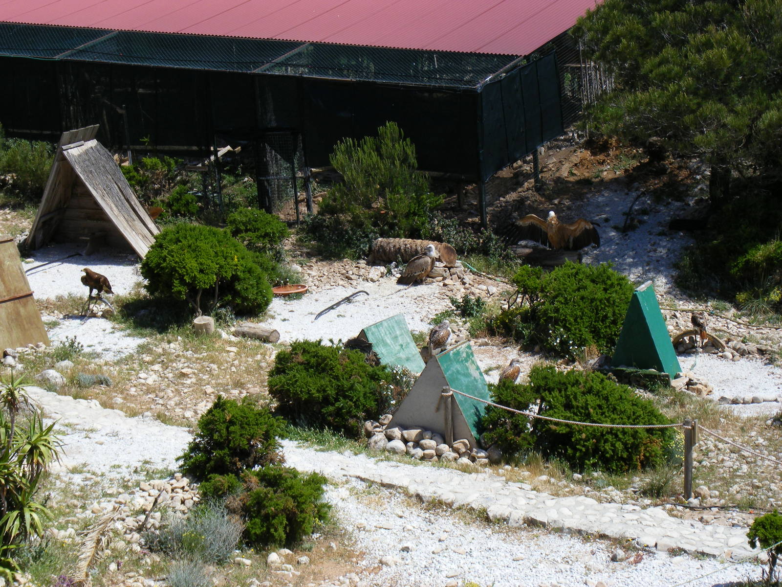 Garden of the Eagles in Benalmadena, 2 May 2009