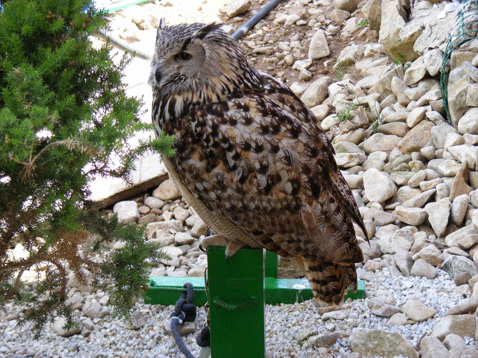 Garden of the Eagles in Benalmadena, 2 May 2009