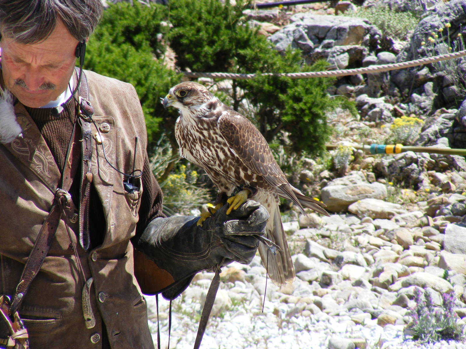 Garden of the Eagles in Benalmadena, 2 May 2009