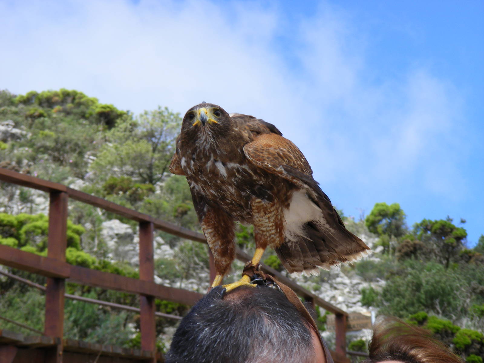 Garden of the Eagles in Benalmadena, 2 May 2009