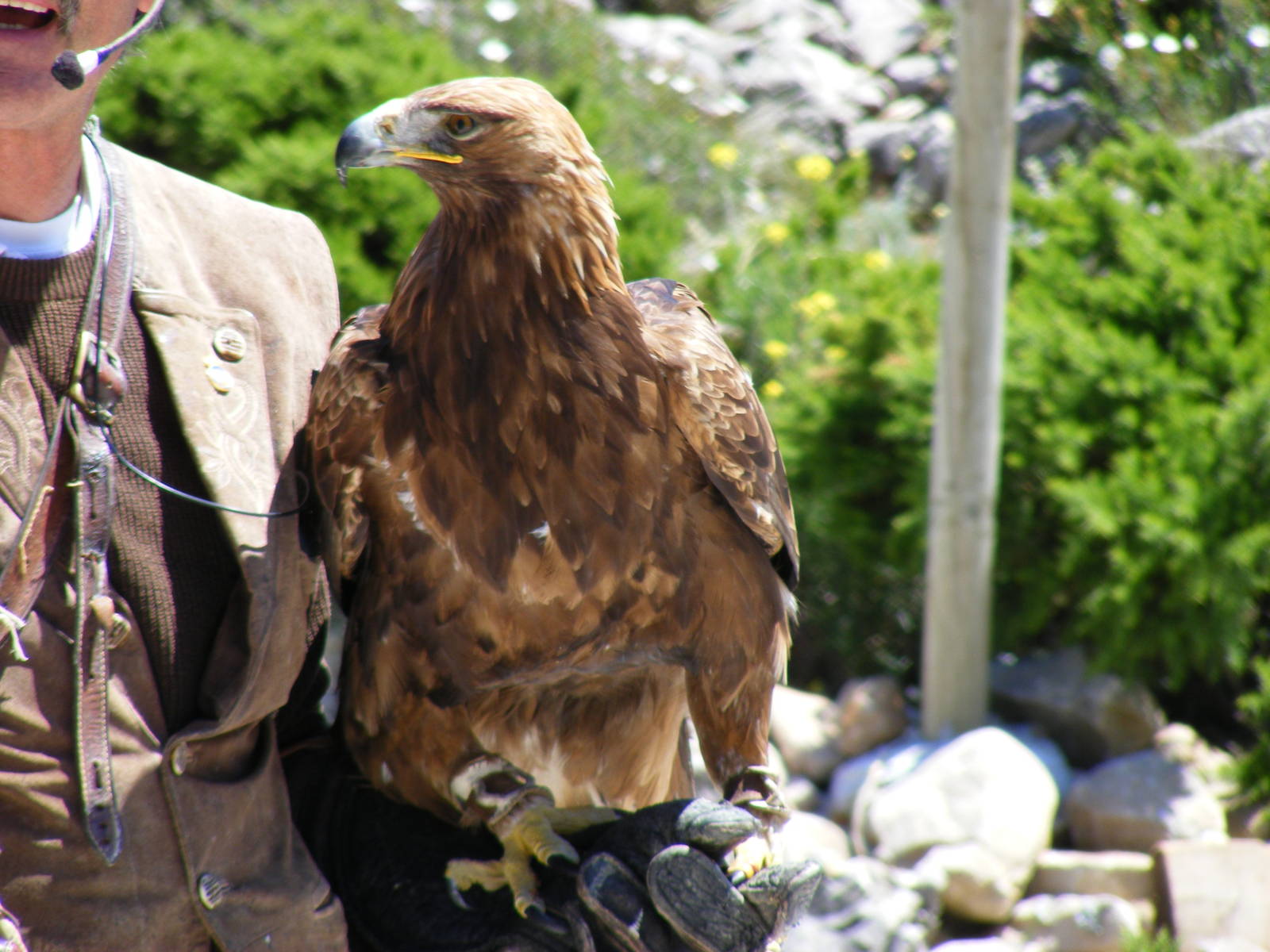 Garden of the Eagles in Benalmadena, 2 May 2009