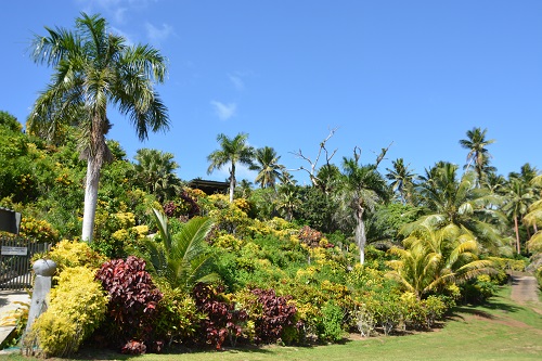 Garden on Taveuni island, Fiji.