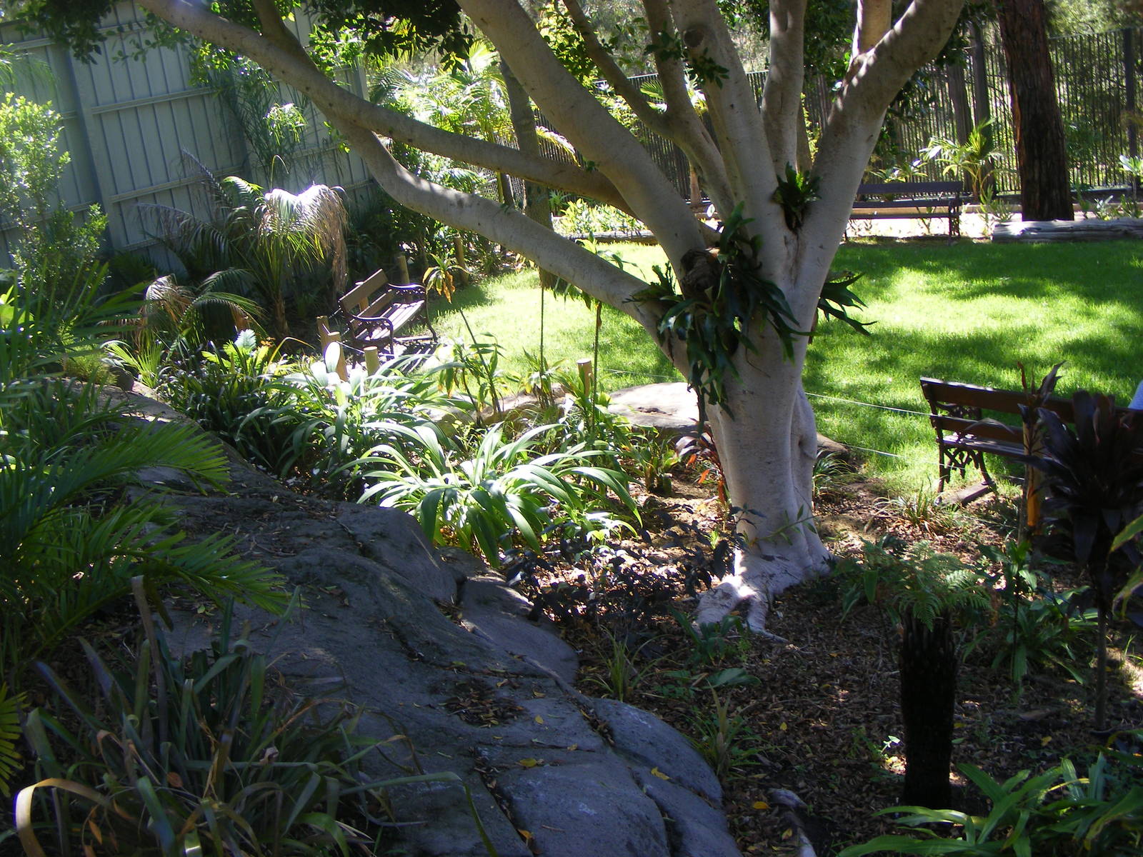 Garden Past the Orang Exhibit - April, 2010