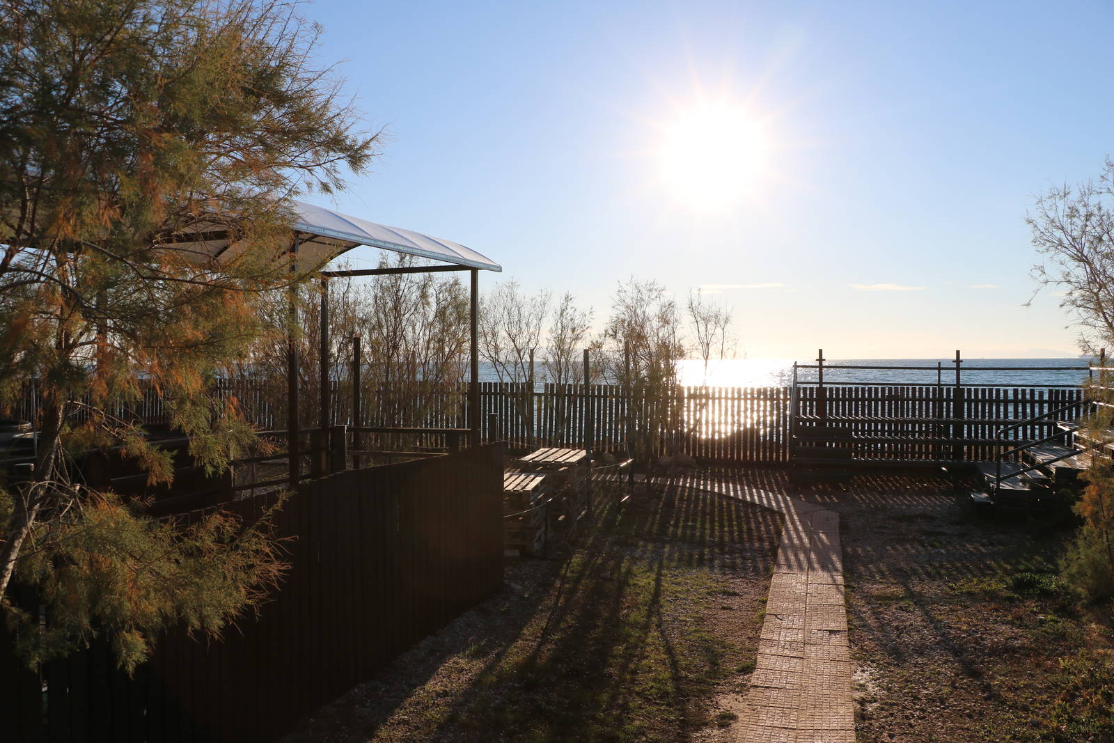 Garden - Sea Turtle Rescue Centre, February 2016