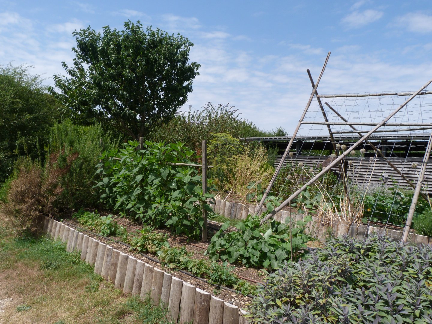 Garden view -Zoodyssée (2025)