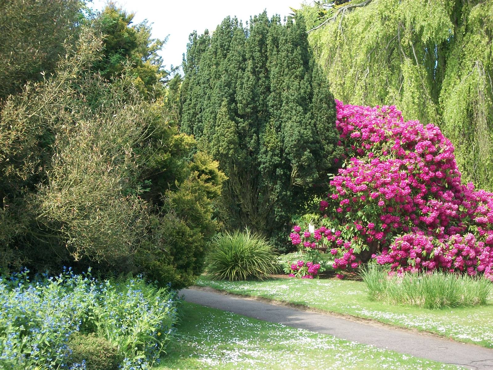 Gardens, 16th May 2014