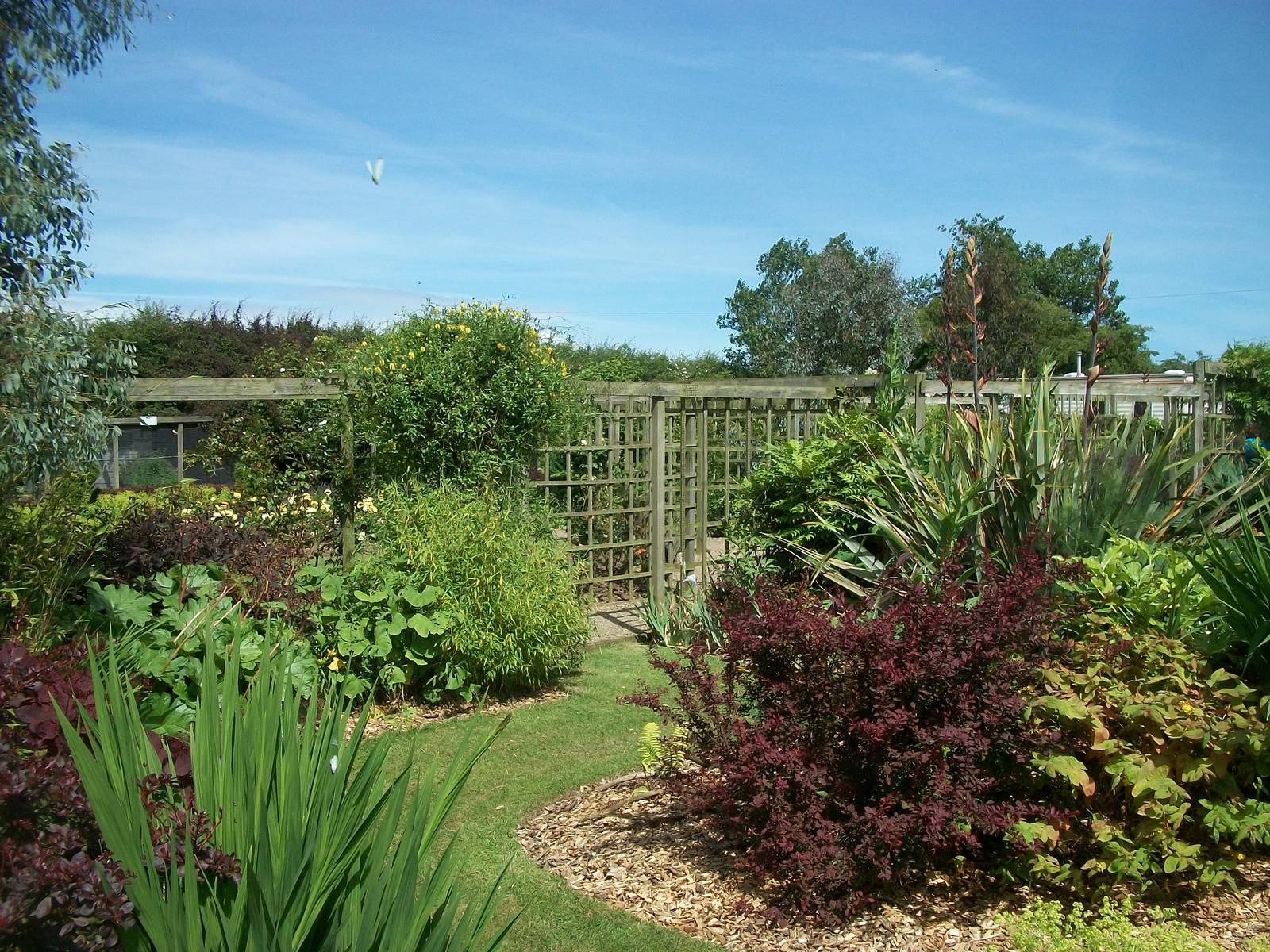 Gardens, 19th June 2014