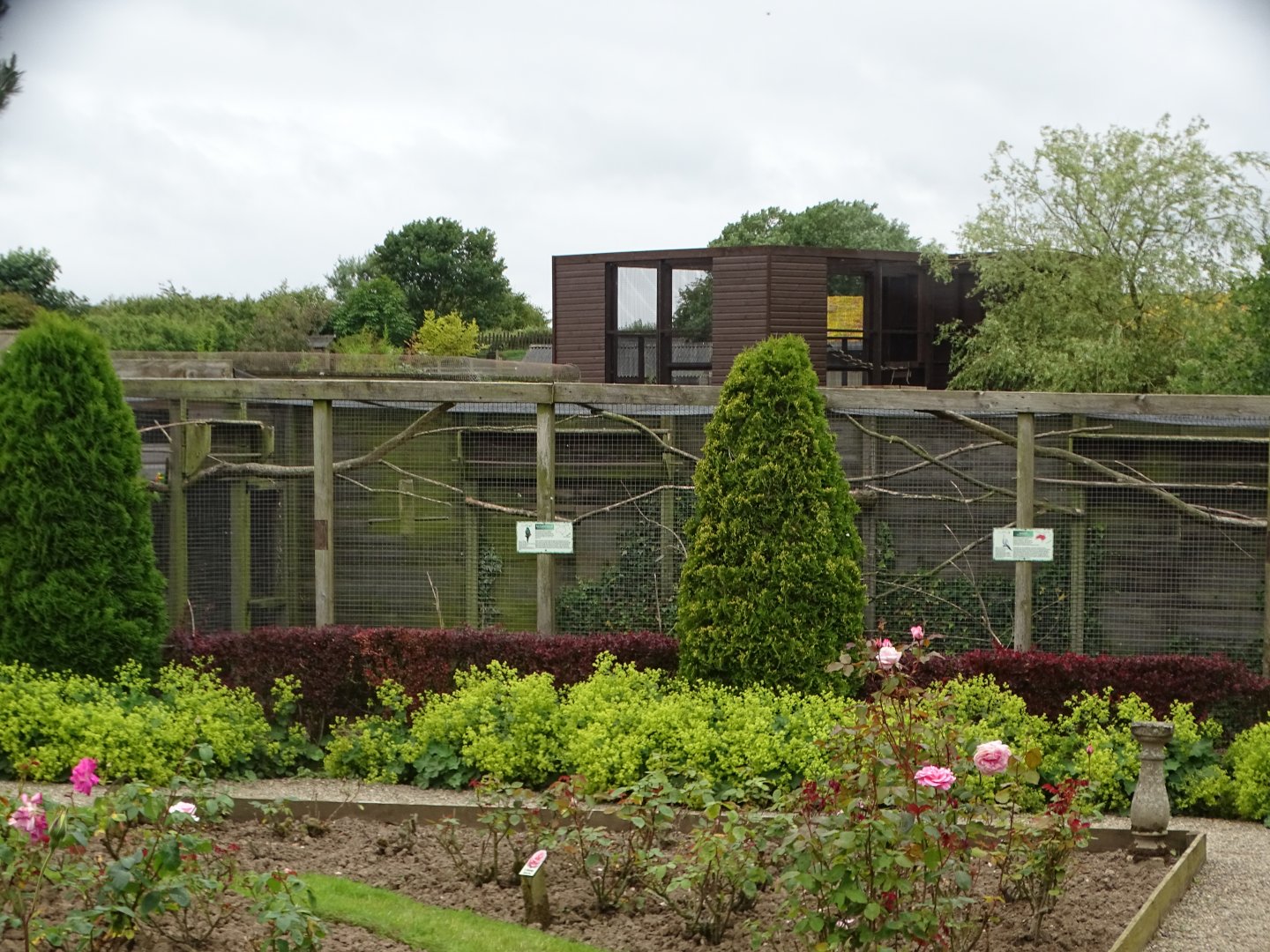 Gardens and aviaries, new Coati exhibit behind, 1st July 2024