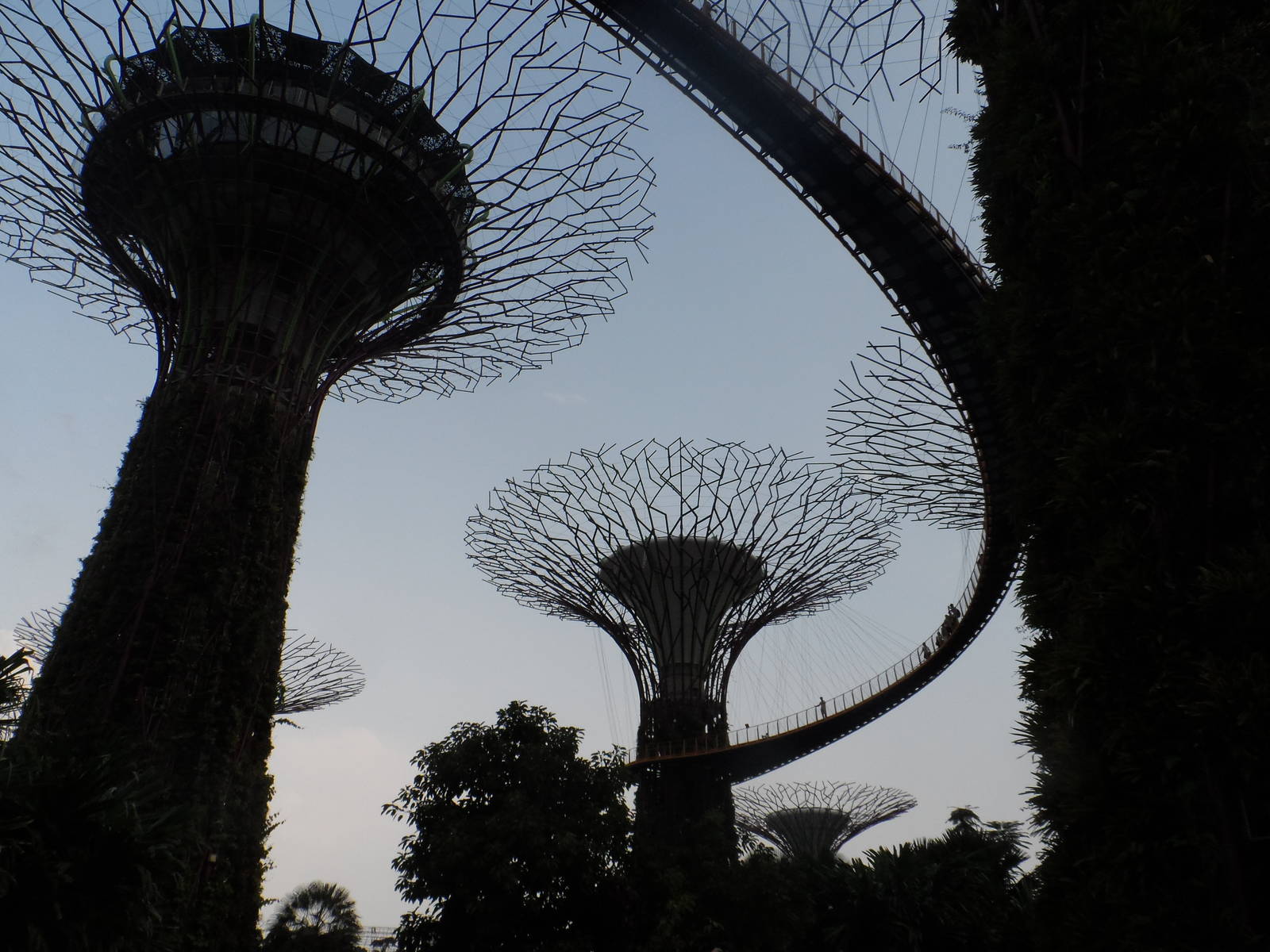 Gardens by the Bay