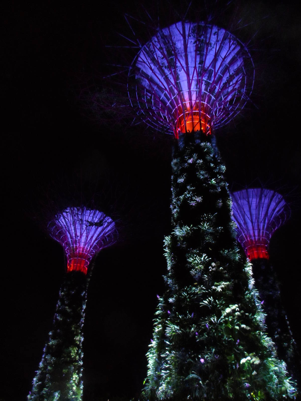 Gardens by the Bay