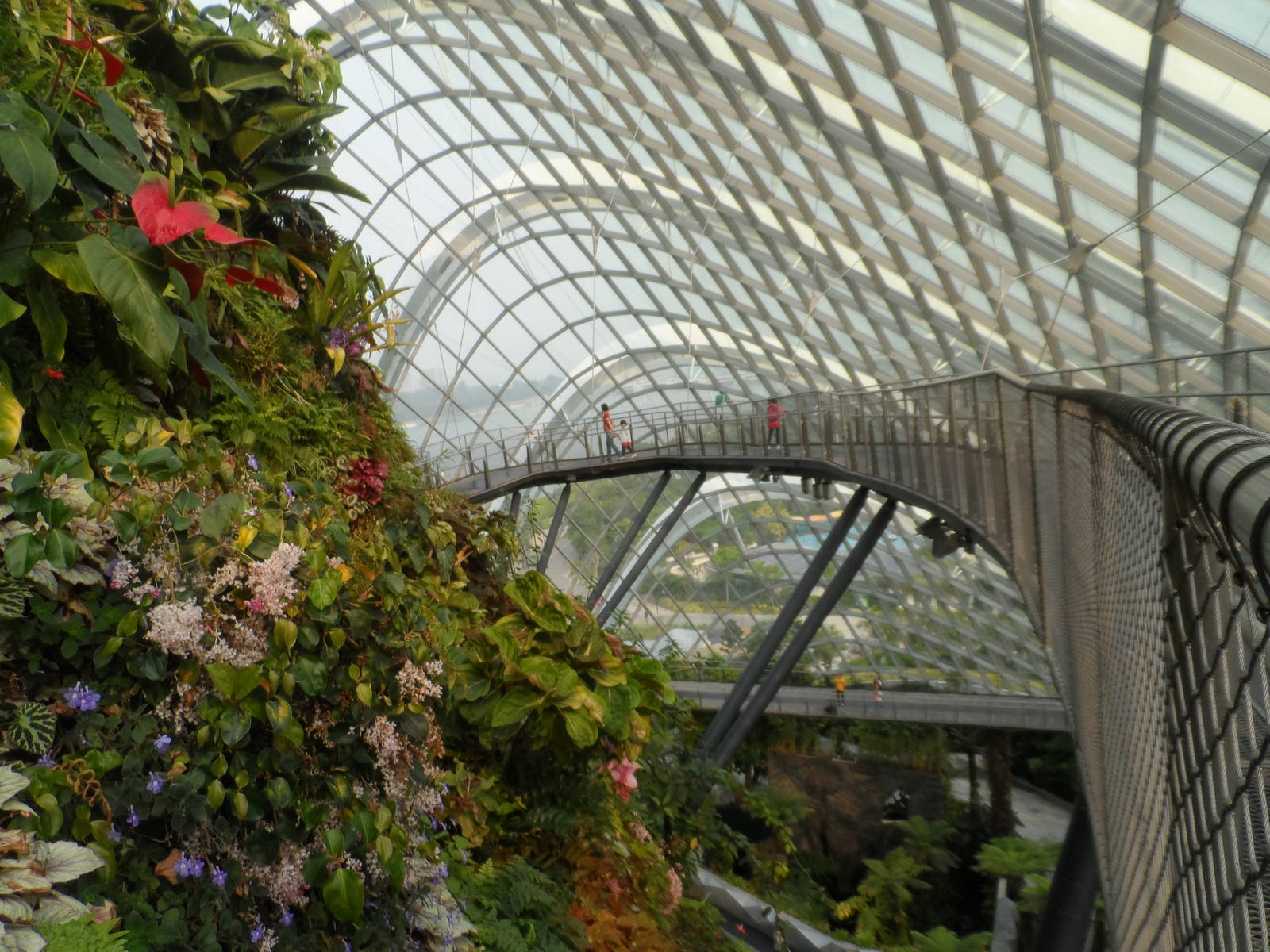 Gardens by the Bay