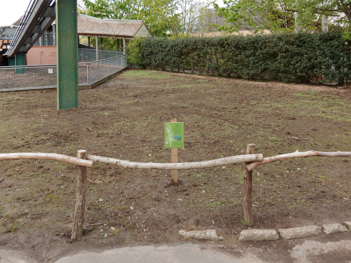 Gardens Fit for a Queen - 08/05/2012