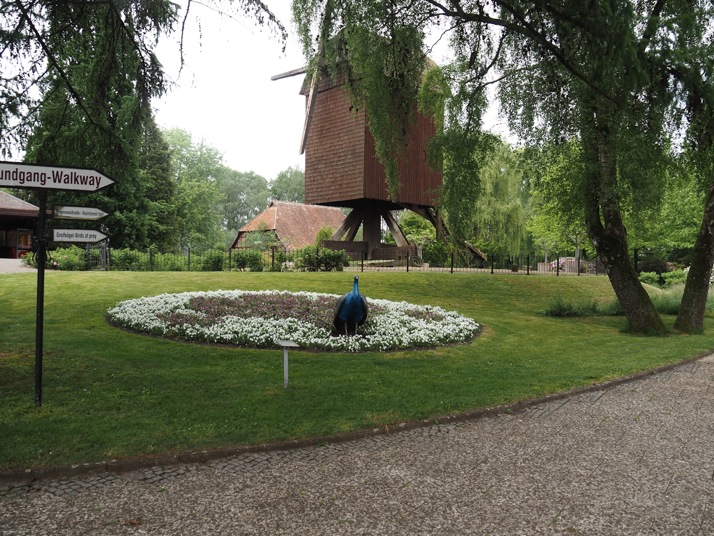 Gardens near the old post windmill, 2024-05-21