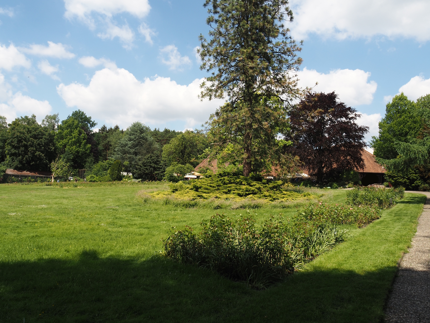 Gardens near the Rosencafé, 2024-05-23