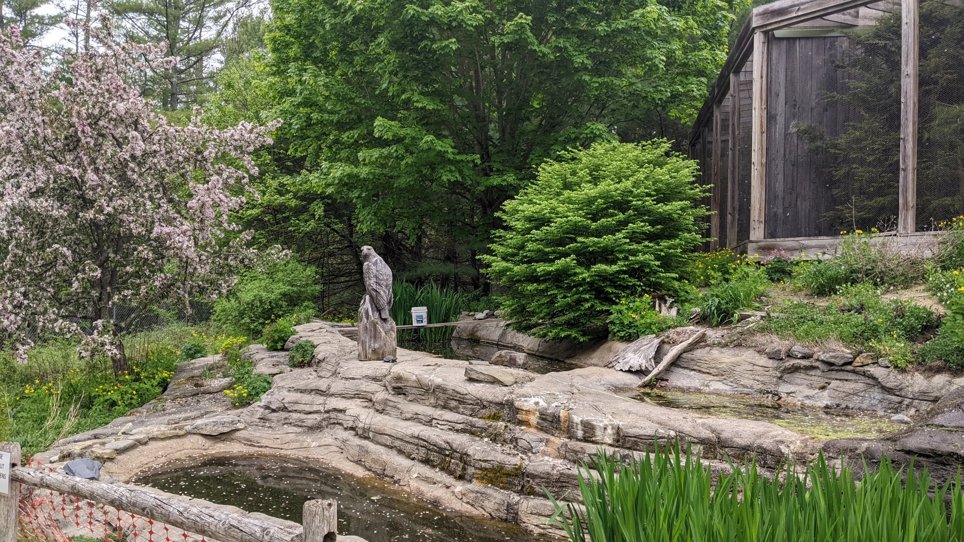 Gardens outside Eagle Exhibits