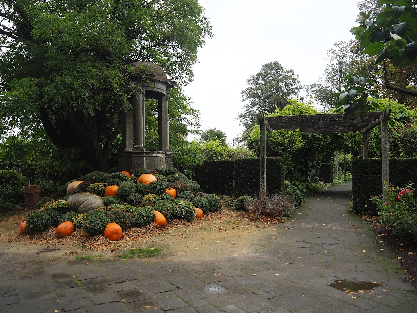 Gardens with fall decorations, 2023-10-13