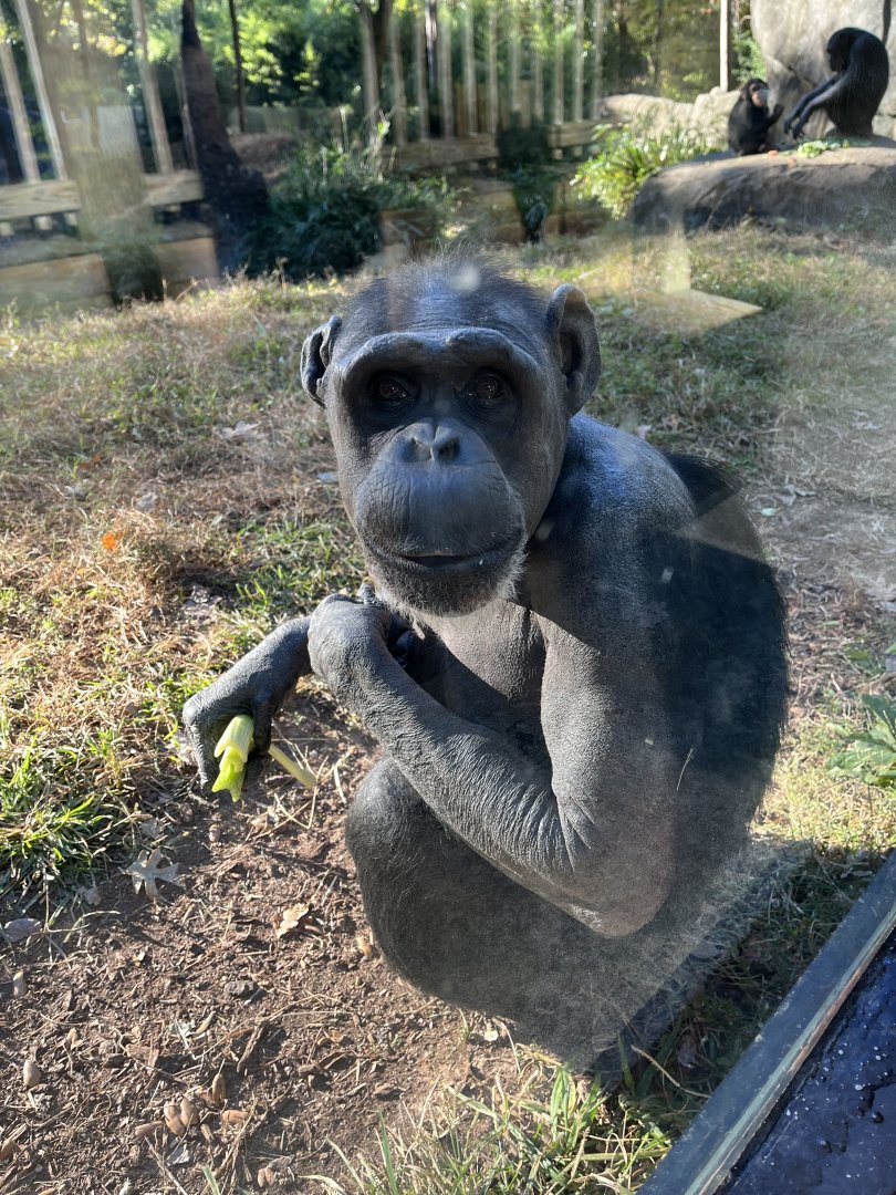Gari getting some Sun