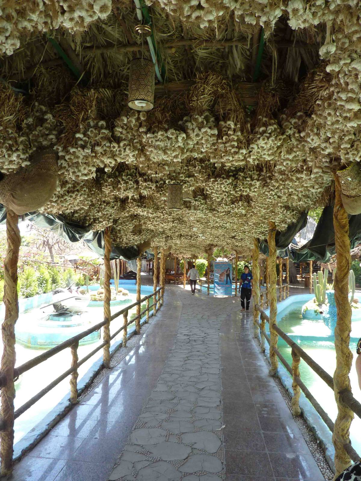 Garlic ceiling, April 2013.