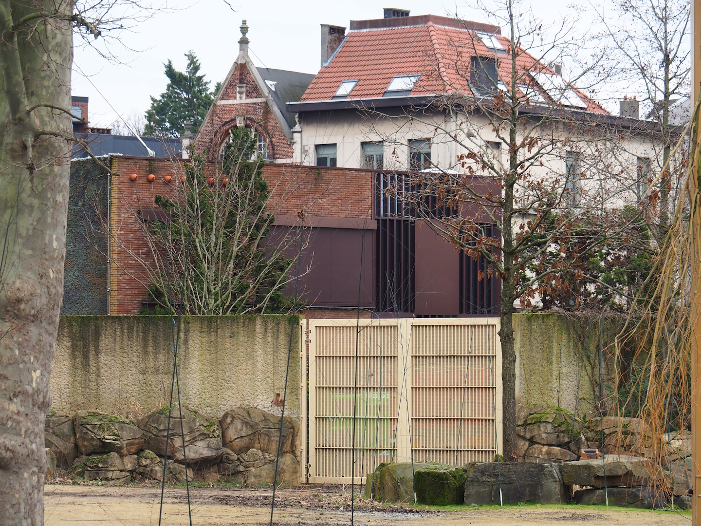 Gate into giraffe and warthog exhibits and buffalo and bird house for the savanna aviary, 2024-02-17