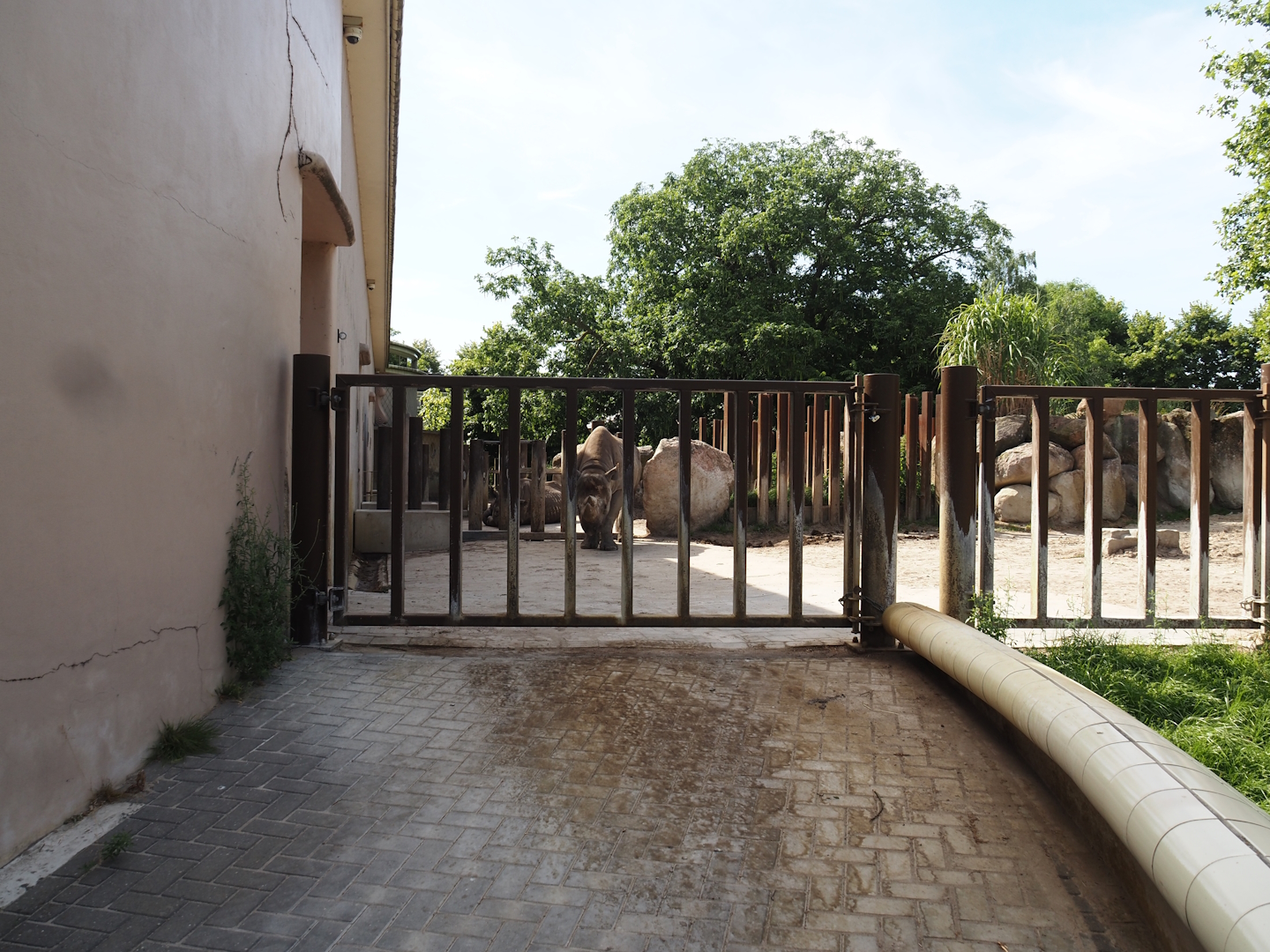 Gate into the black rhinoceros paddocks, 2024-06-30